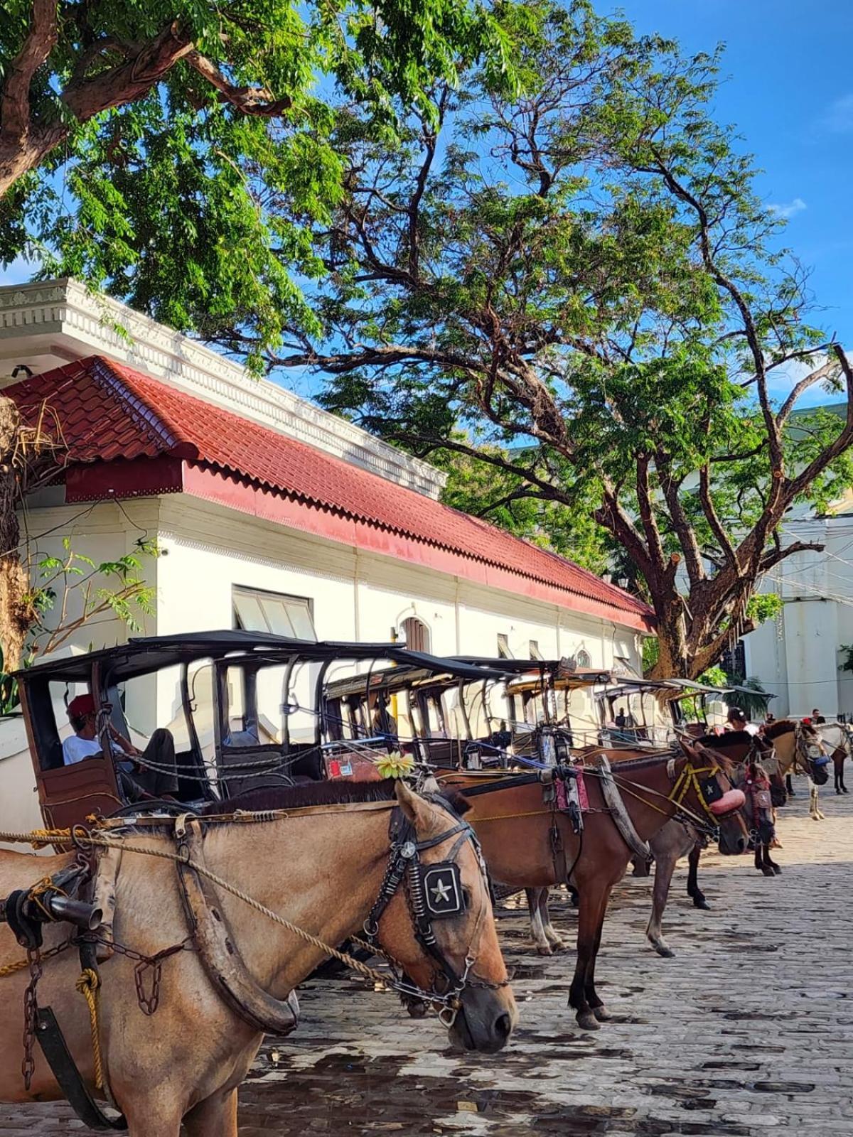 The Orange House - Vigan Villa Kültér fotó